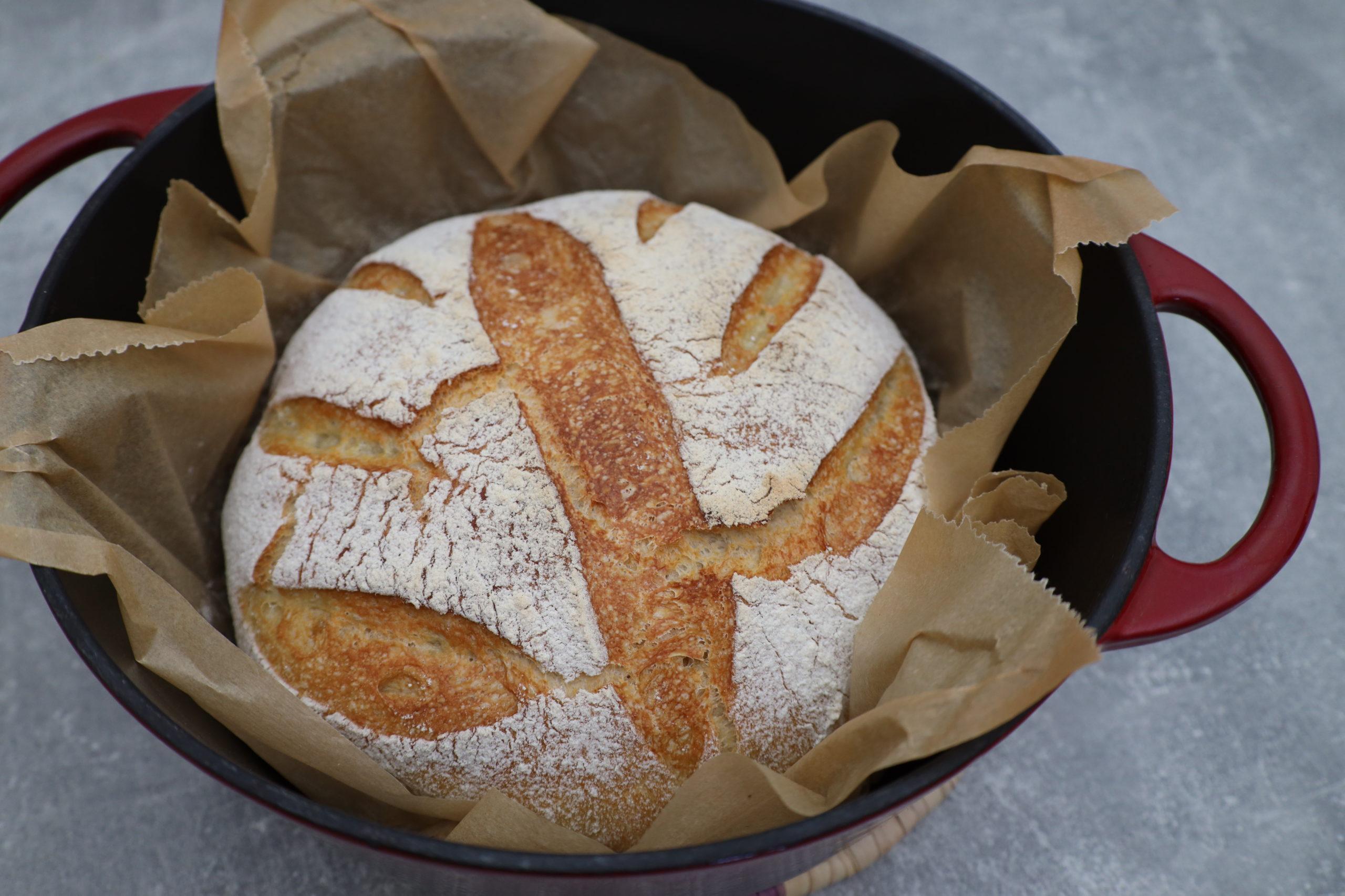 Brot im Topf ohne kneten in nur 3 Stunden!