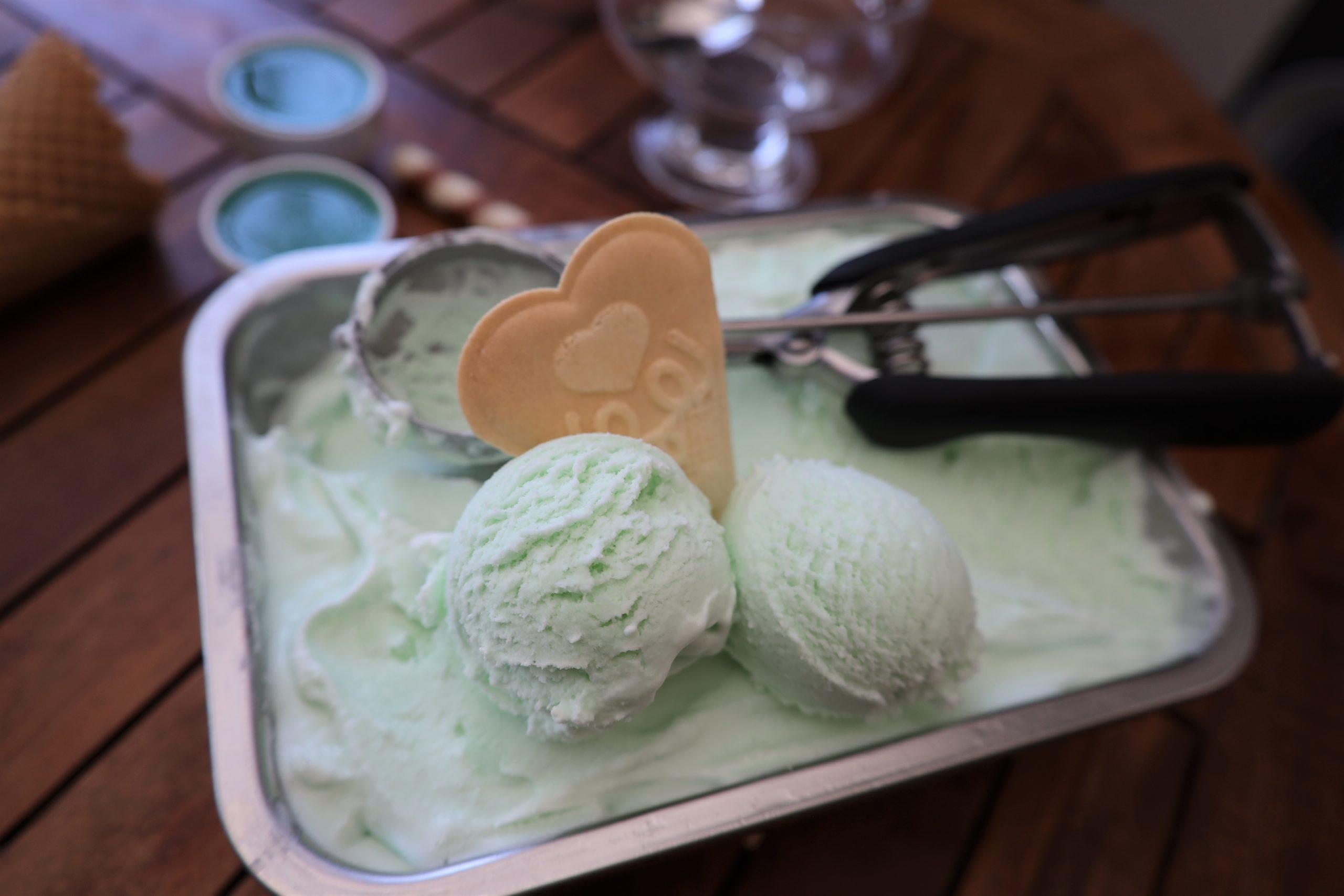 Waldmeister Eis Rezept mit Eismaschine so cremig&amp; lecker - Bibichworld ...